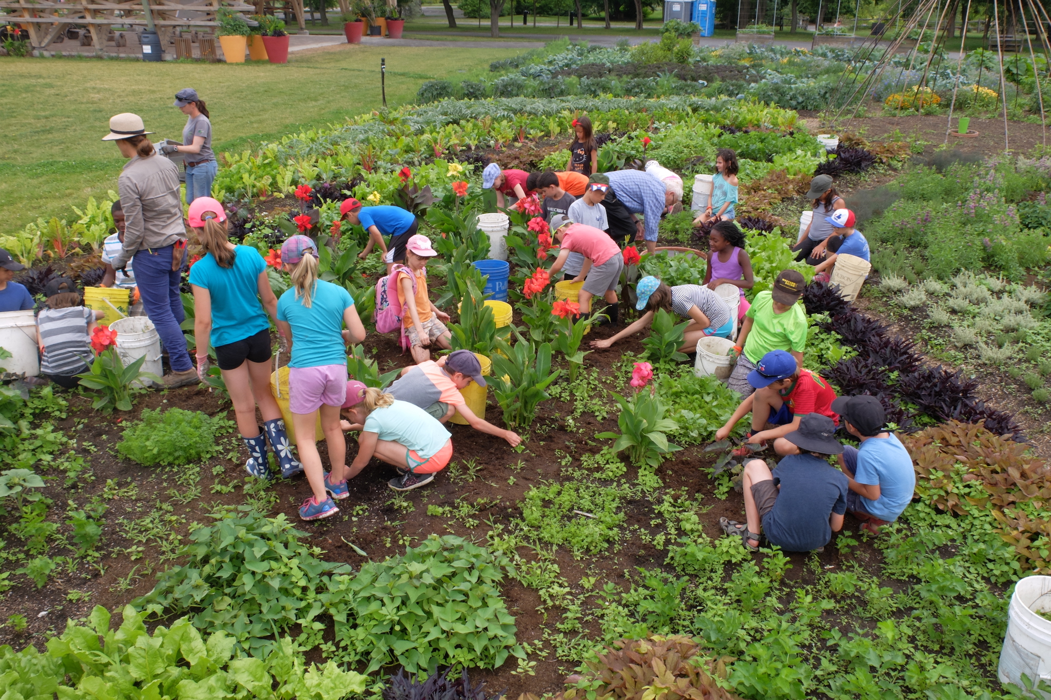 Jardin pedagogique – –